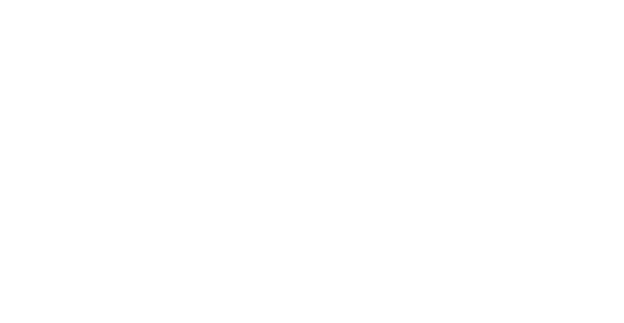 我们的优势