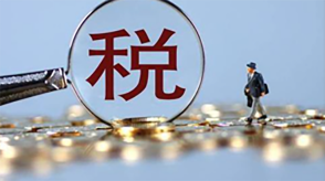 金税四期